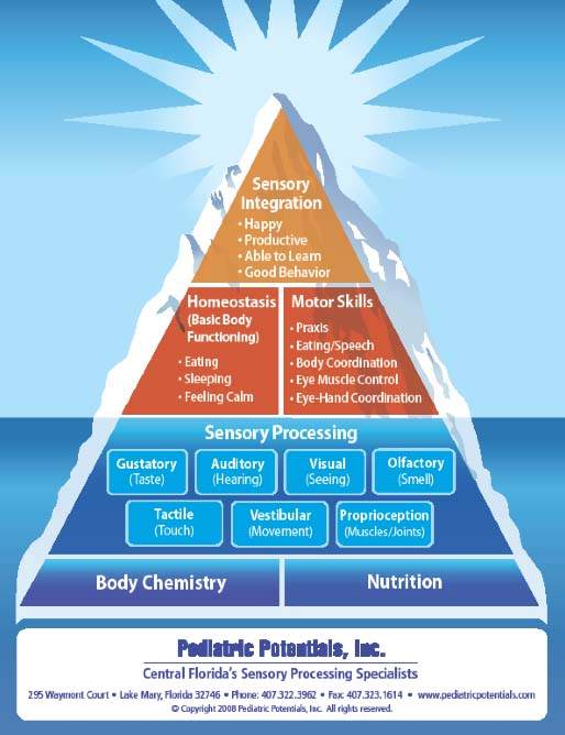 Pediatric Potentials, Inc. Sensory Processing Pyramid